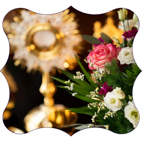 Floristería